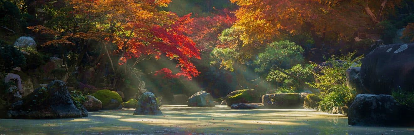 Zen tuin herfst