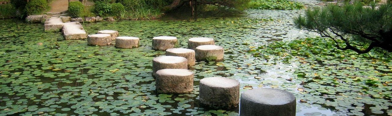 Stepping stones in pond