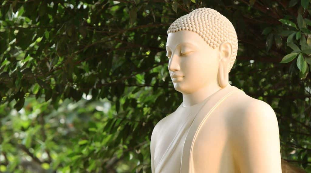Witte Boeddha