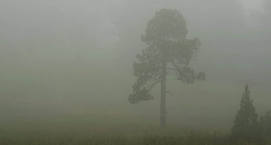 mist mist