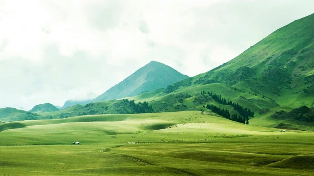 Landschap