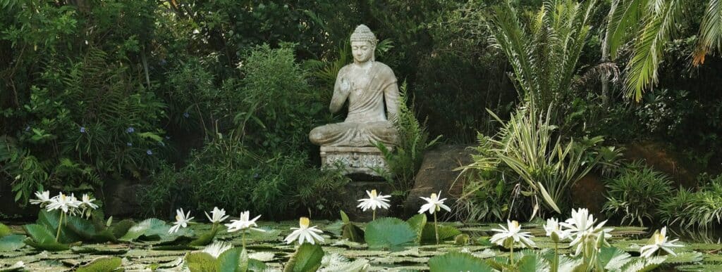 Boeddha en lotus