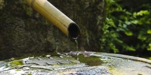 Bambooenwater