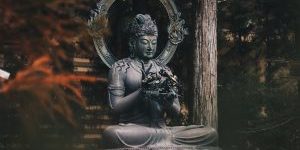 Bodhisattva