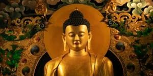 Buddha T