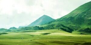 Landschap