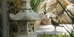 Lantaarn en vogel