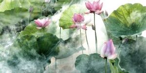 Lotussen