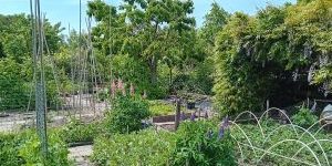 Moestuin DT