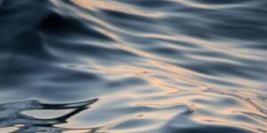 Waves