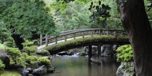 Zenbrug2