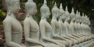 buddhasYT