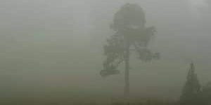 mist