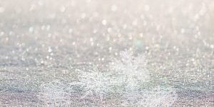 sneeuwvlok